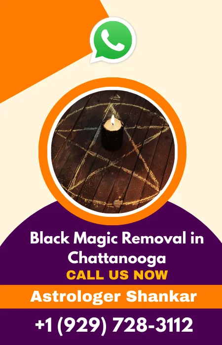 The Expert Astrologer Of Black Magic Removal in Chattanooga, Tennessee Astrologer Shankar